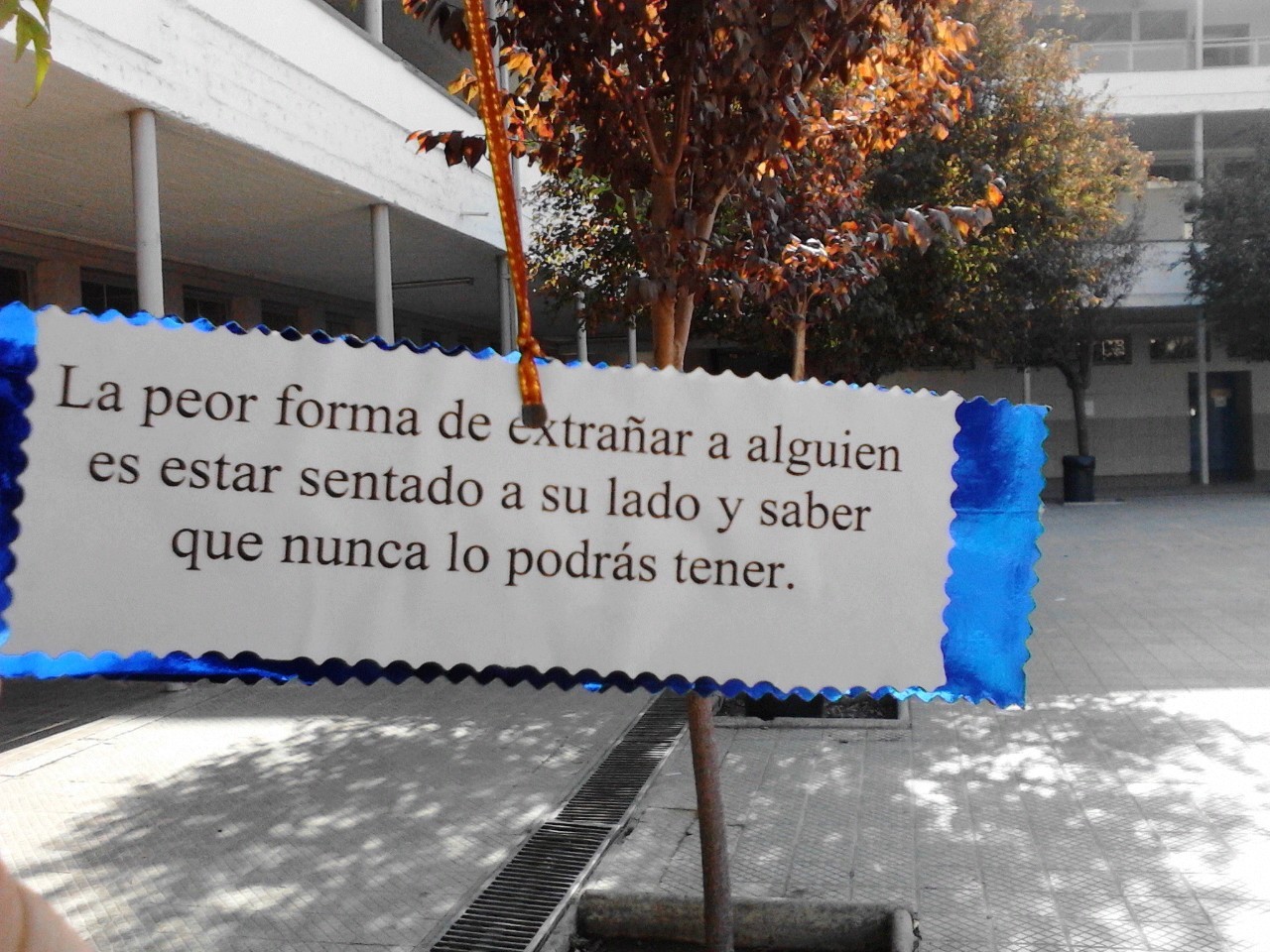Diario de Hipócritas.
