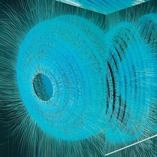 crossconnectmag:Optical Float Paintings Suspended in Layers of Glass by Wilfried GrootensArtist Wilf