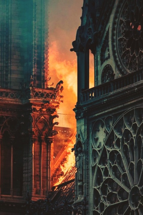 arcusxx:    Cathedral   Notre Dame Paris 