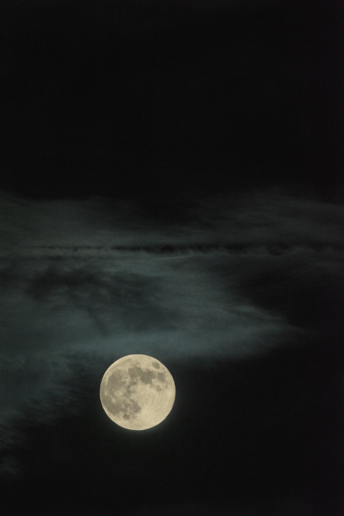 in-apricity:  Full Moon by Sara Conlan 