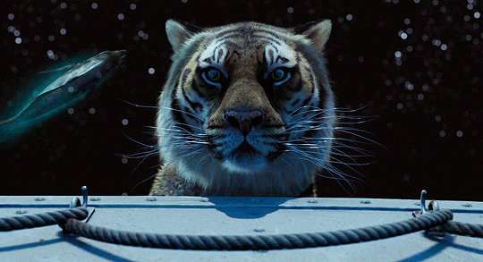 joewright:Academy Award Winners for Best Cinematography:2013 — Claudio Miranda, ASCLife of Pi (2012)
