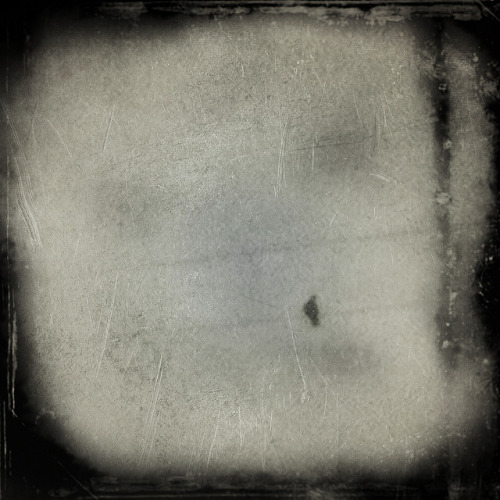 Jack Barnosky, Spanish Johnny&rsquo;s Bird, 2014