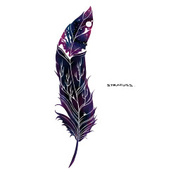 stratuss:  Hey there, long time no see. *places gently on timeline*  “The sky is the limit”.  #feather #galaxy #night #moon #stars #trees #design #stratuss