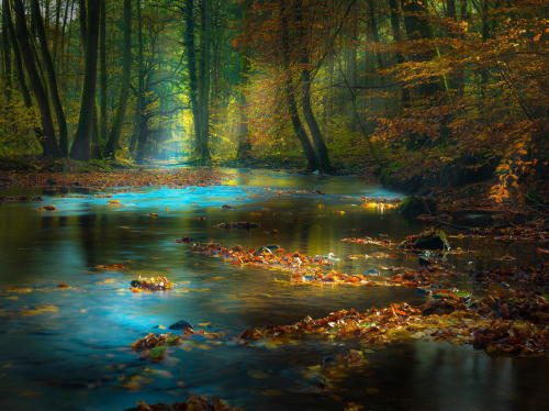 vilenavila:  The most wonderful nature,just like a fairy tale.