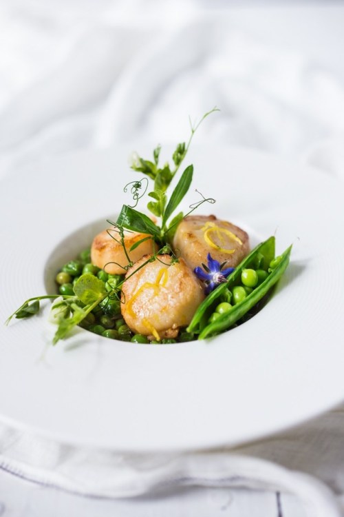 foodffs: seared scallops with spring peas, tarragon and truffle oilFollow for recipesGet your FoodFf