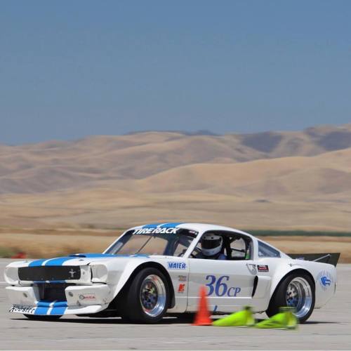American Muscle