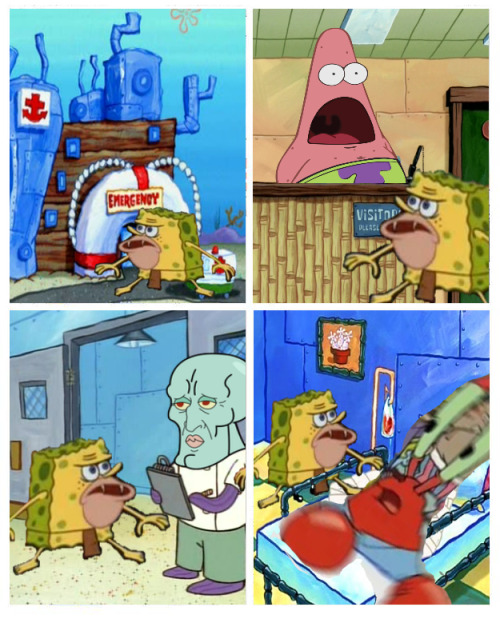the-fury-of-a-time-lord: NO NO U KNOW WHAT THIS MEME HAS GONE WAY TOO FAR