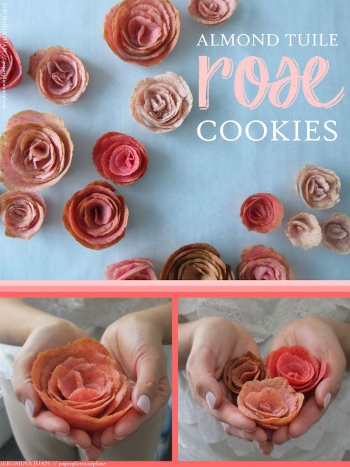 decadentdessertsblog:Almond Cookie Roses by Instructables’ User paperplateandplane.These DIY Rose Co