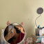 theeverythingdiariesblog