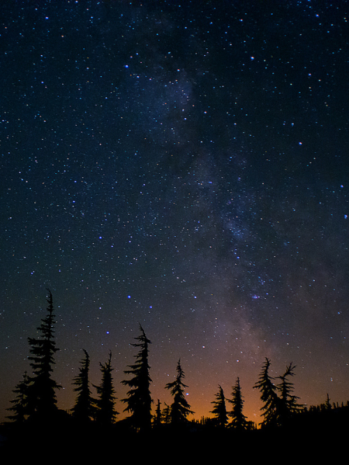 oecologia:  Milky Way Trees (Mount Baker, Washington) by Eric Mickelson. 