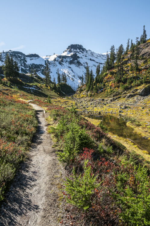 Photography by Visioni ItalianeLocation: The area around Mt. Baker Ski Resort, WA, USA If you e