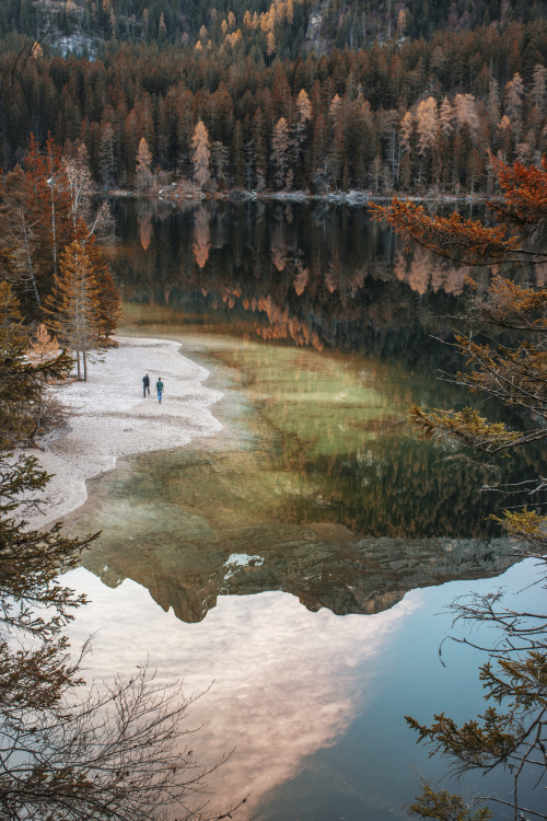 travelgurus:      “Human details”   at Lake Tovel in Trentino Alto Adige, Northern Italy by Mattia                  Travel Gurus - Follow for more Nature Photographies!  