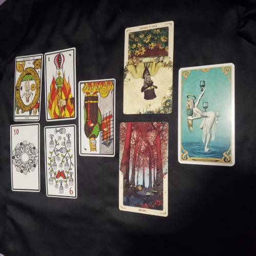 A Tarot Reading Just In Case You Need To Remember This: It's Okay To Be A Bitch.