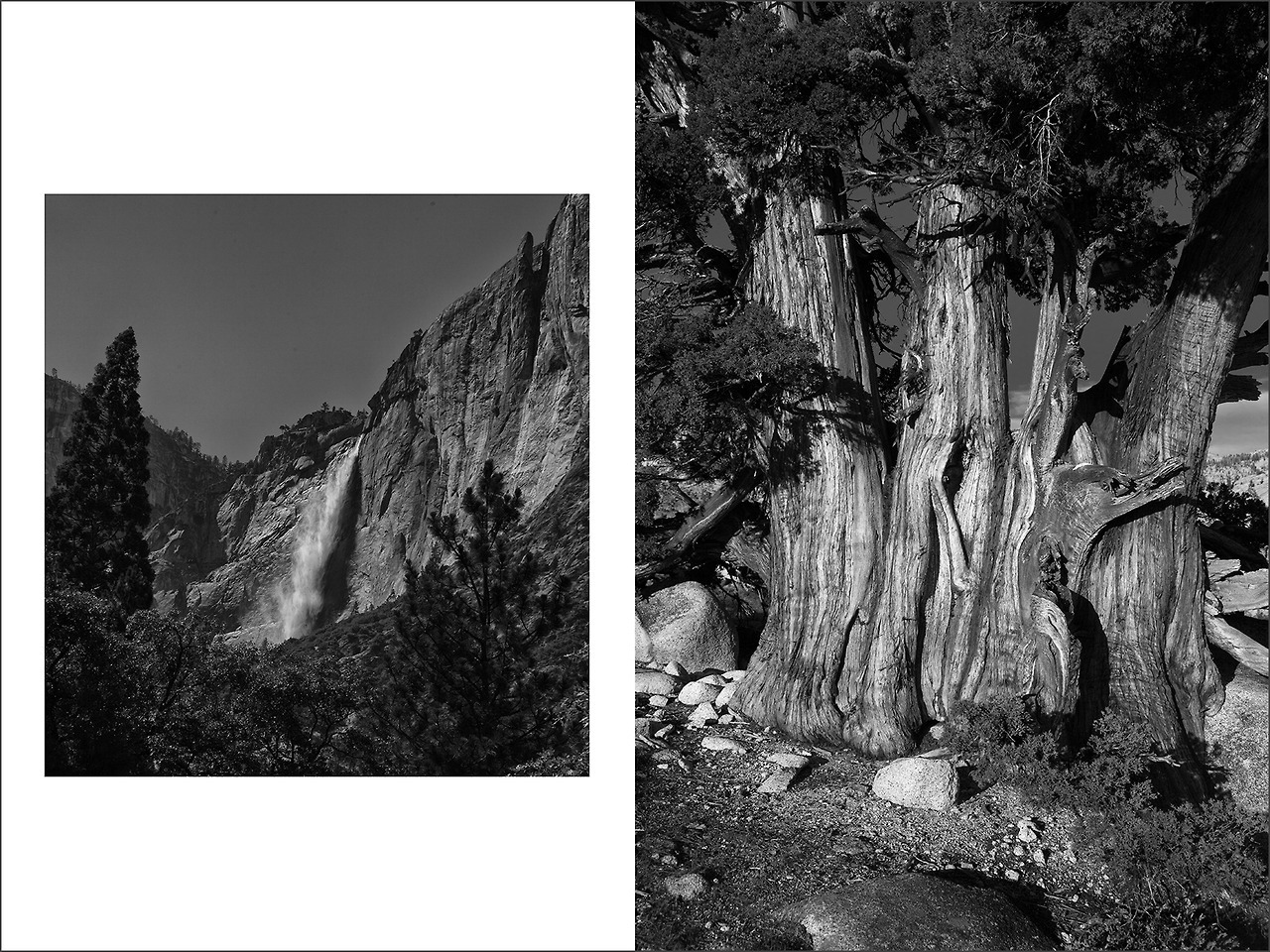 jamesirelandphoto:
“Yosemite in B&W June 2016, Nos. 2 & 3 (Yosemite National Park, CA | USA)
[c] 2016 James A. Ireland | All Rights Reserved | www.jamesireland.ca
Some of my fashion and model photography work is here...