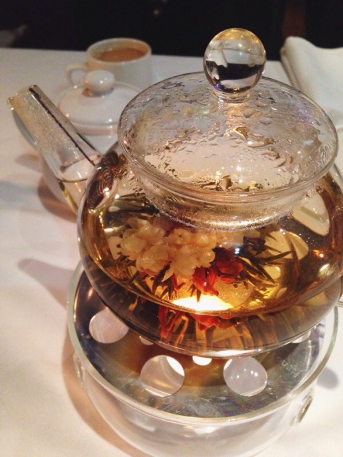 prettysickly:  Jasmine flowering tea  adult photos