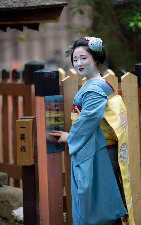 This coordinate owned by Tama okiya (Gion Kobu) is for senior maiko and is currently being worn by M