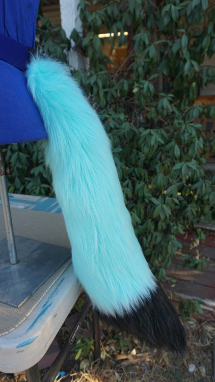 Long Fox Tails Aqua with a black tip! Love the contrast. :DSee something you like or maybe have a co