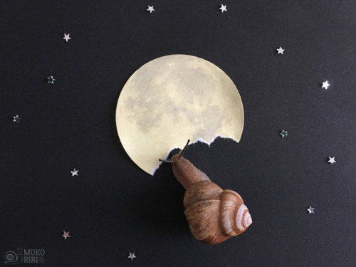 should-be-sleeping:hdot-mokoriri:lunar eclipseSorry…I ate the moon．月食ごめん…月食べちゃったThis i