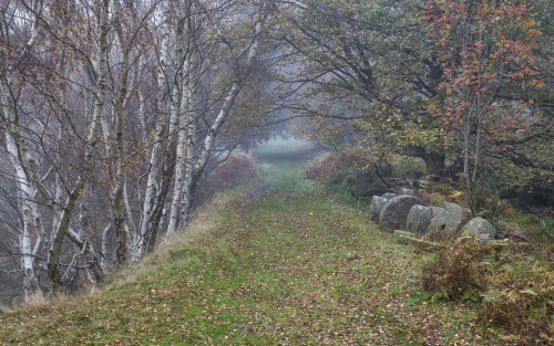 Millstone beside the path by Andrew Kearton