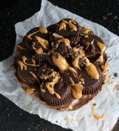 sweetoothgirl:  Raw Vegan Chocolate Peanut Butter Cheesecake  gimme gimme gimme!!