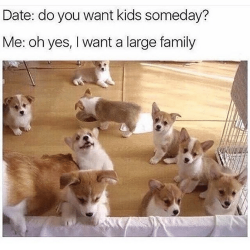 kingof-memes:  The only large family I want