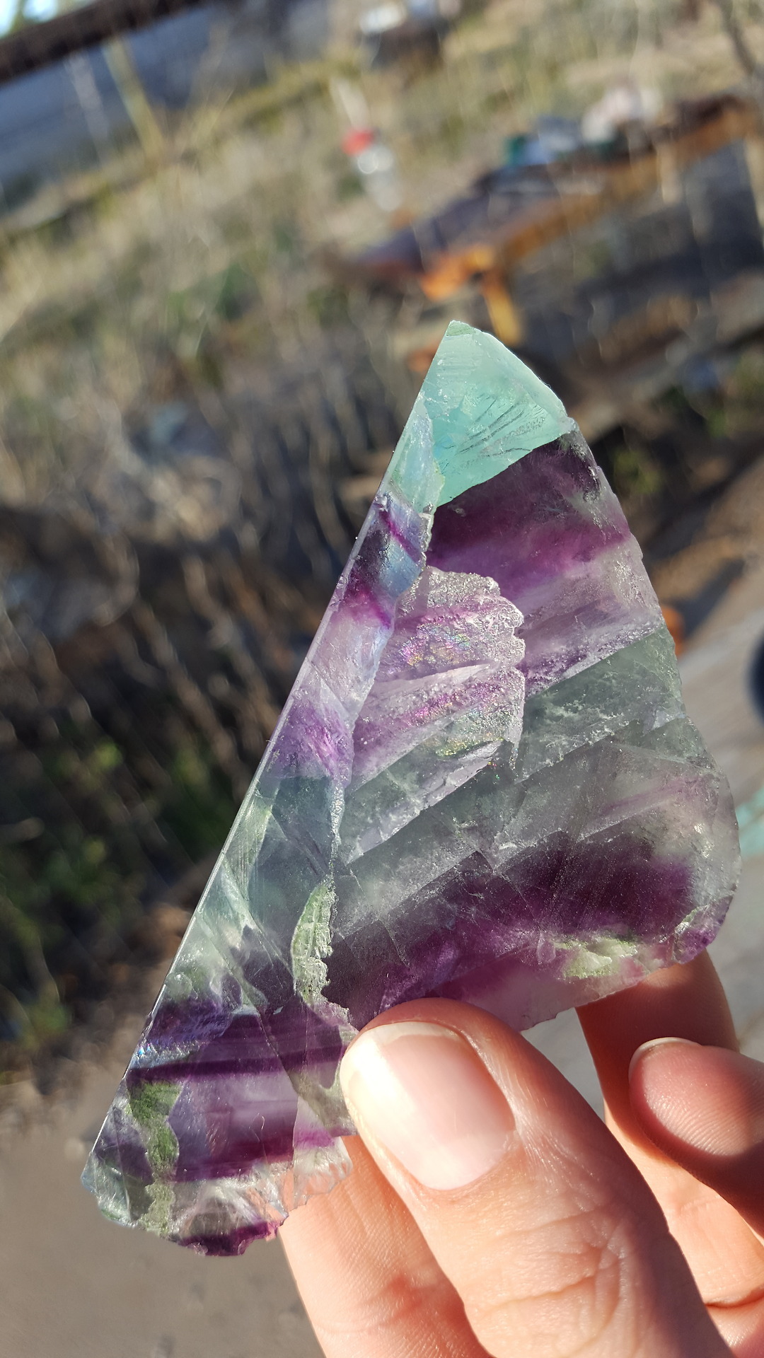 sacreddatura-wirewraps:A really nice piece of Rainbow Fluorite I got at the gem show