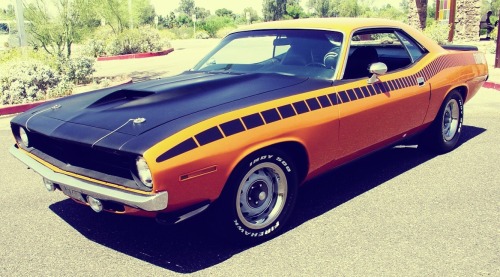 Muscle Cars of America