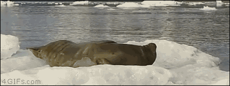 Coño un humano!!!