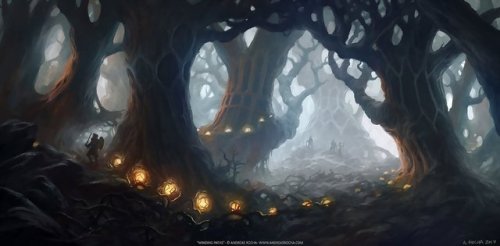 fantasy forest