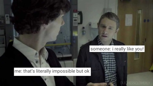 Campy Gay/Grumpy Bi Johnlock + Text Posts