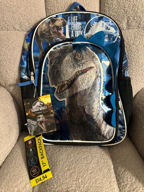 Best Backpack Size For Young Elementary School Kids?