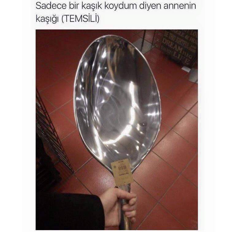 Sadece bir kaşık koydum...