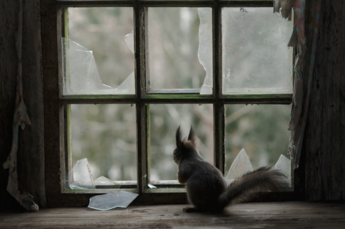 When Kai Fagerstrm Happened Upon An Old Cottage In Rural Suomusjrvi, Finland, Abandoned Decades Ago,
