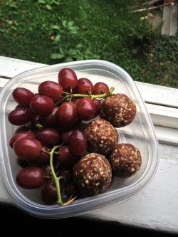 elizabeth-antoinette:  Snacks: organic red grapes. Medjool date, coconut sugar and local hazelnut energy balls. 