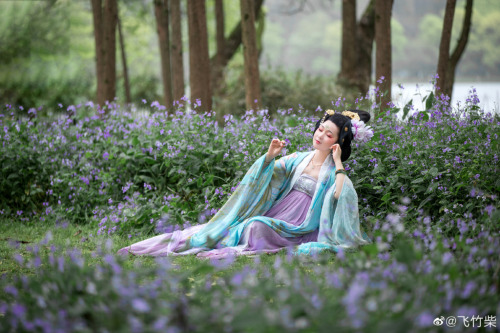 chinese hanfu in tang dynasty style by 竹里馆汉服