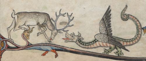 eadfrith: The Alphonso Psalter - folio 12r A Stag fighting a magnificent winged Dragon - on the back