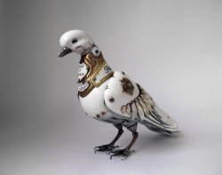 steampunktendencies:  “Dove Of Peace”