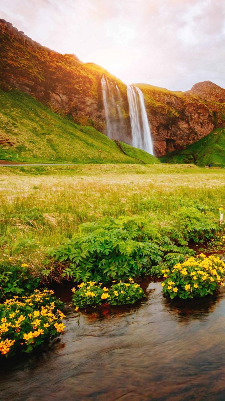 National Parks And Nature Scenes Mobile Wallpapers