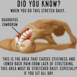 meteorash13: pigbottom1:  sashacoki:    Did you Know?     FYI, especially during Corona-time Pandemic.    These exercises honestly work. As someone who needs to stretch daily just to keep from seizing up in pain every week, 100% would recommend doing