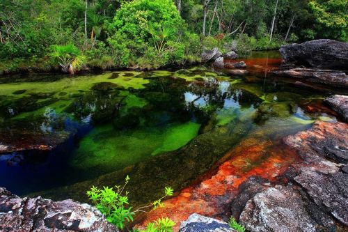 “The River of Five Colors” Caño Cristales, Colombia. Photo by Fili Pinzón.