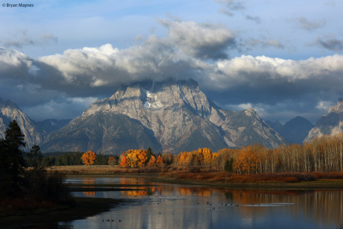 legendary-scholar:    Sunrise at Oxbow Bend, Grand Teton National Park.