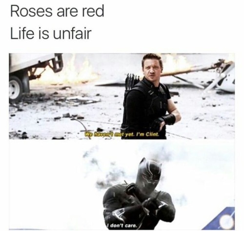 roses are red