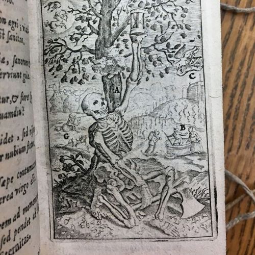 &ldquo;Do you think that perhaps Death sleeps because you are healthy? Be careful: he arrives su