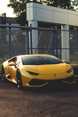 wearevanity:  Yello //  All rights reserved by A.Melotti Photography    