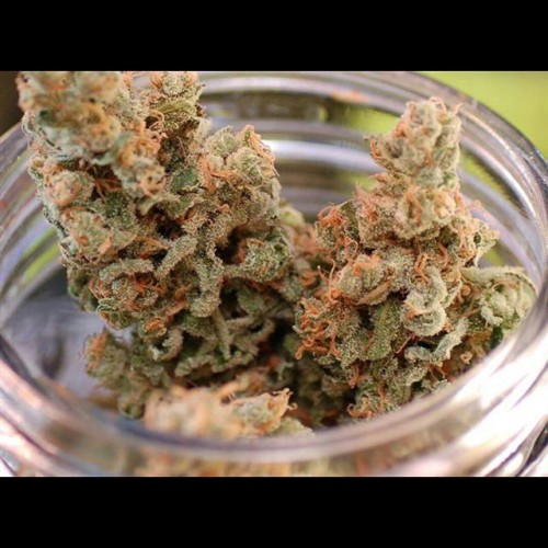 weedporndaily:  Glass cured #vortex from my head stash no plastic allowed by subcoolseeds