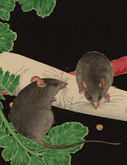 japaneseaesthetics:ARTIST: Takahashi, Hiroaki (Shotei) (1871-1945)TITLE: Mice, Radish, and CarrotMED