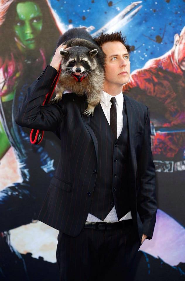 catsbeaversandducks:  October 1st is International Raccoon Appreciation Day and to