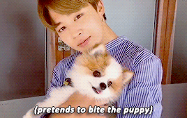 Jimins Love For Animals 