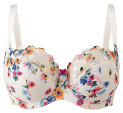 placedeladentelle:  Floris by Panache / 30-38 D-K