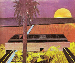 archiveofaffinities:  Rem Koolhaas and Laurinda Speer, House in Miami, Collage, Miami, Florida, 1974 